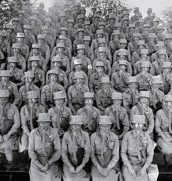 NYHS Rows of WACS by Marie Hansen Poster