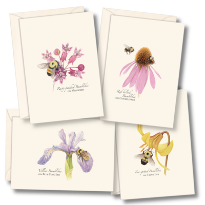 ESW Bumblebee Boxed Notecards
