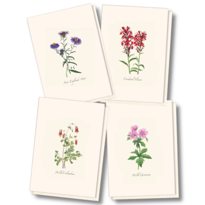 ESW Meadow Wildflower Boxed Notecards