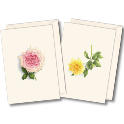 ESW Rose Boxed Notecards