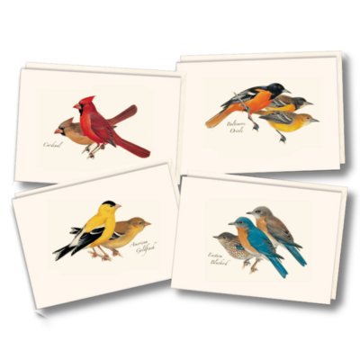 ESW Peterson Bird Boxed Notecards