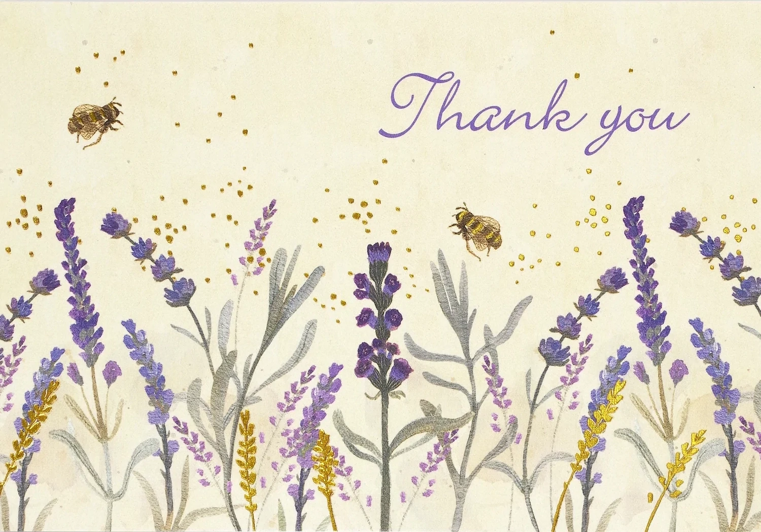 PP Lavender &amp; Honey Thank You Note Cards