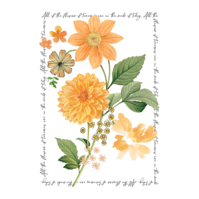 PS Notable Floral - Marigold Pouch Note Cards