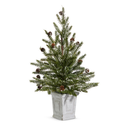 RAZ Pine Tree in White Container