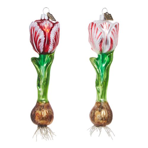 RAZ Tulip Bulb Ornament