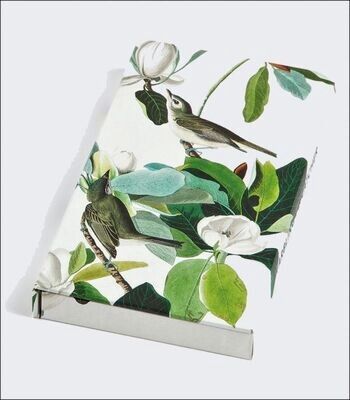 ACC Warbling Flycatcher 8-Pen Set