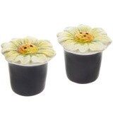 BI Daisy Salt &amp; Pepper