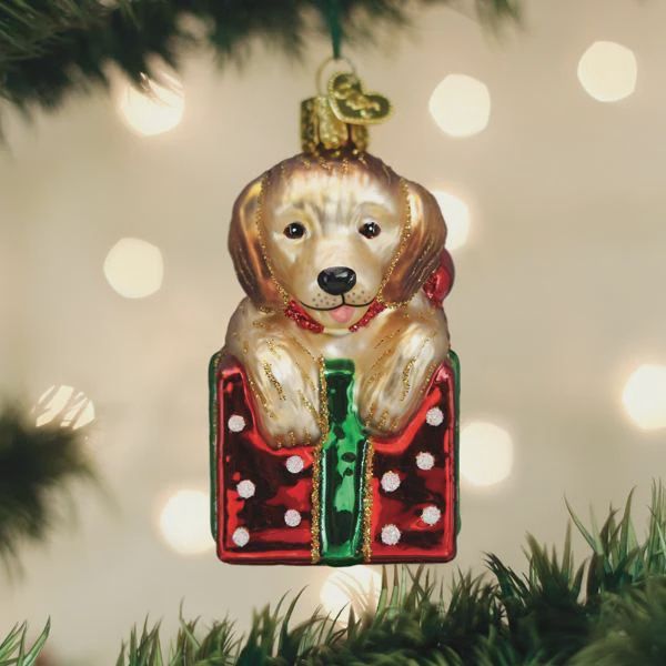 OW Golden Puppy Surprise