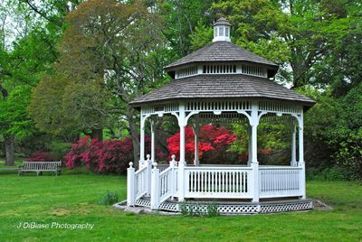 JD Bruce Park Gazebo Note Card