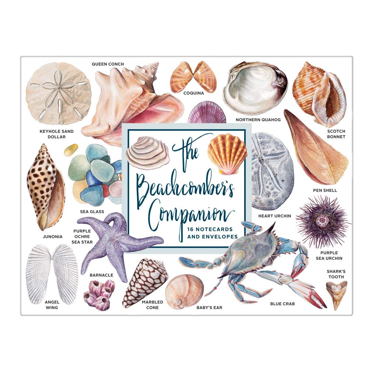 CB Beachcomber Boxed Note Cards