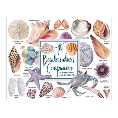 CB Beachcomber Boxed Note Cards