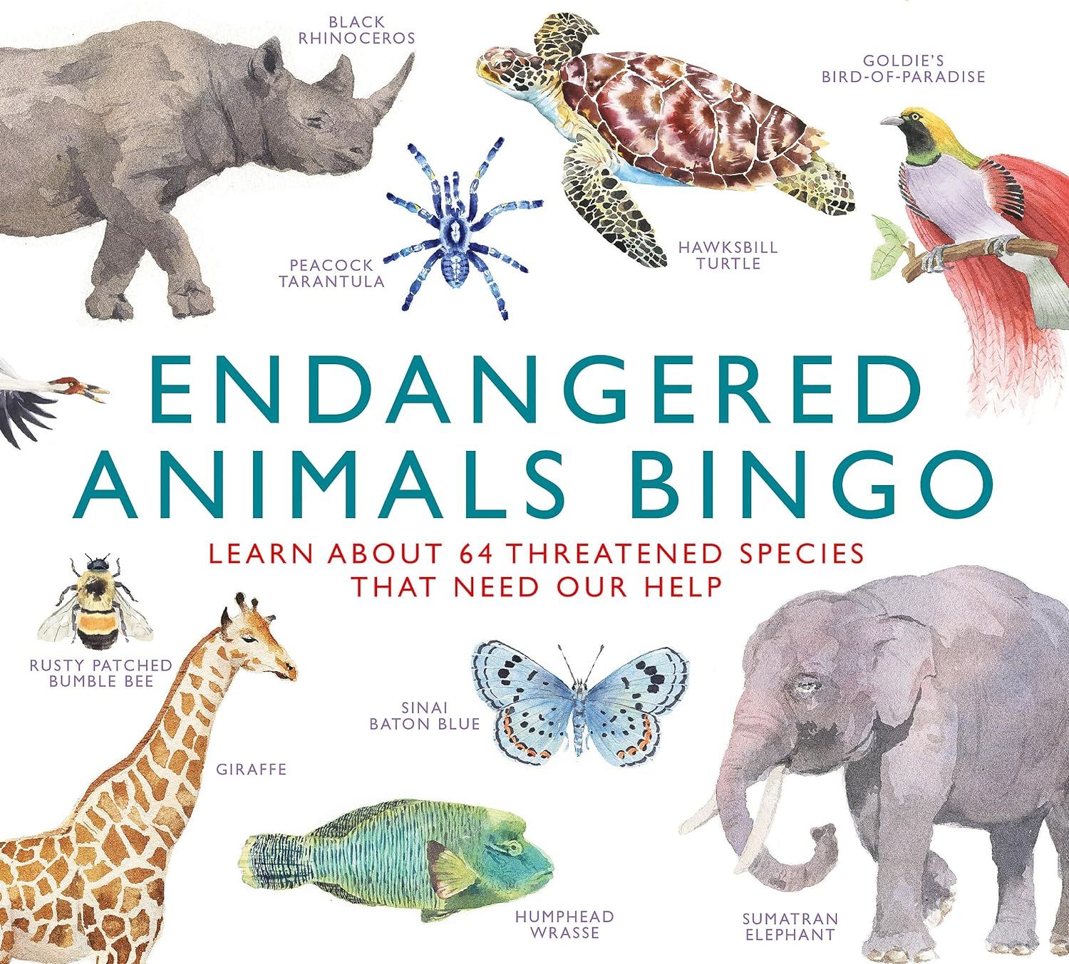 CB Endangered Animals Bingo