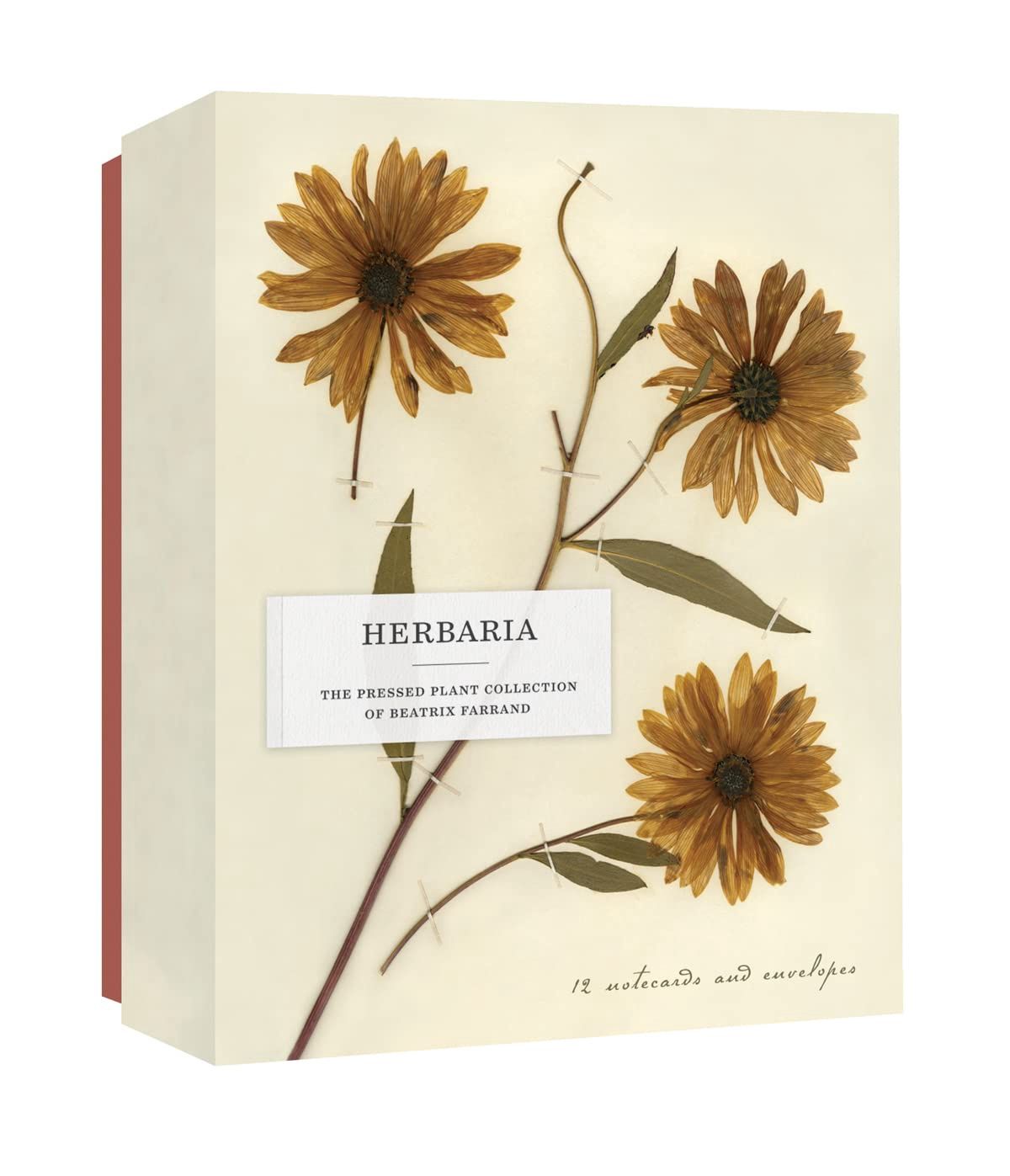 CB Herbaria: The Pressed Plant Collection of Beatrix Farrand