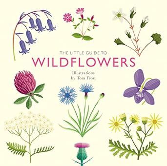 CB Little Guide to Wildflowers