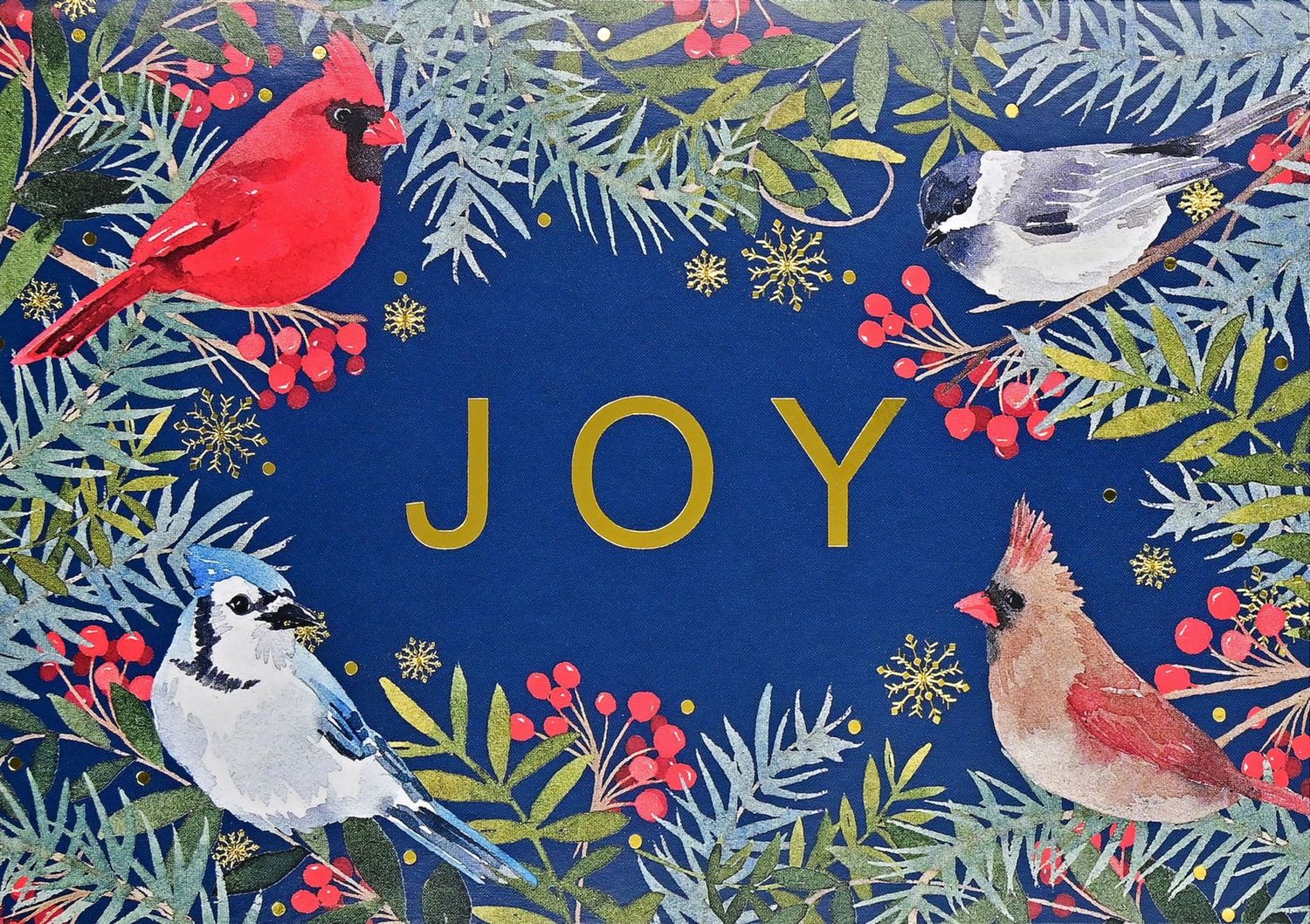 PP Wings of Joy Deluxe Boxed Holiday Cards