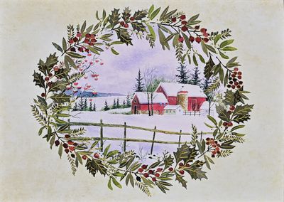 PP Winter Holly Deluxe Boxed Holiday Cards