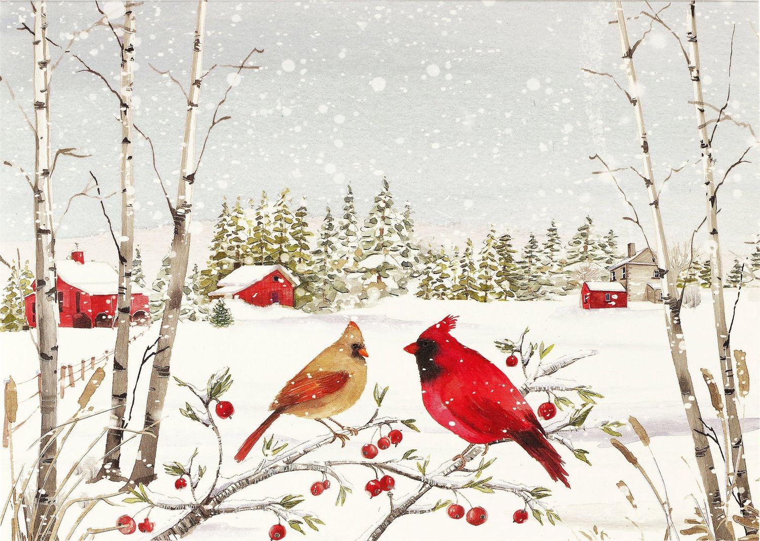 PP Cardinals in Winter Boxed Holiday Cards