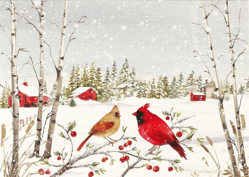 PP Cardinals in Winter Boxed Holiday Cards
