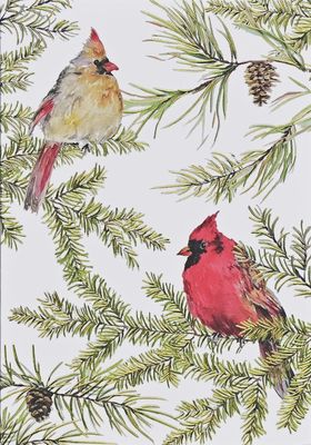 PP Cardinals in Evergreen Holiday Boxed Cards