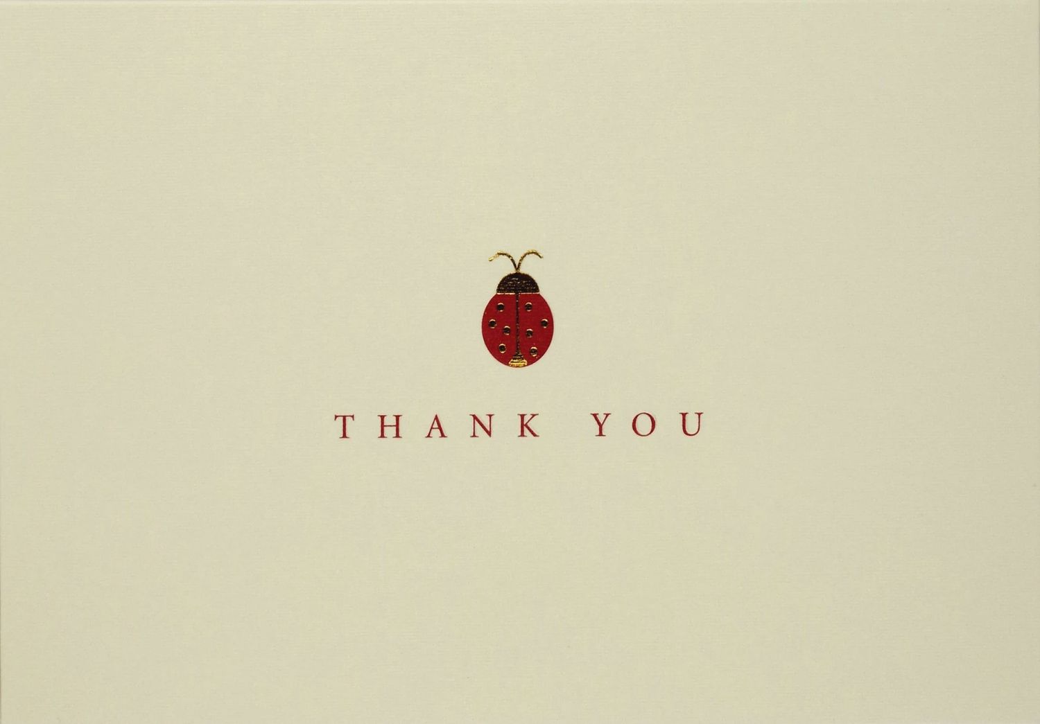 PP Ladybug Thank you Boxed Note Cards