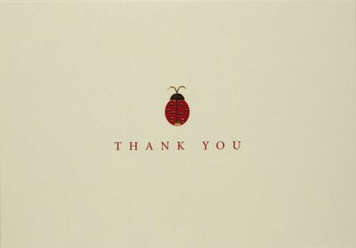 PP Ladybug Thank you Boxed Note Cards