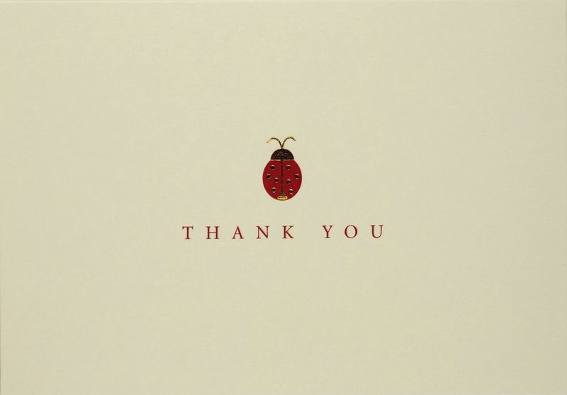 PP Ladybug Thank you Boxed Note Cards