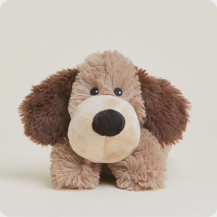 IN Brown Dog Jr.