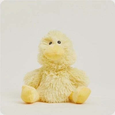IN Duck JR