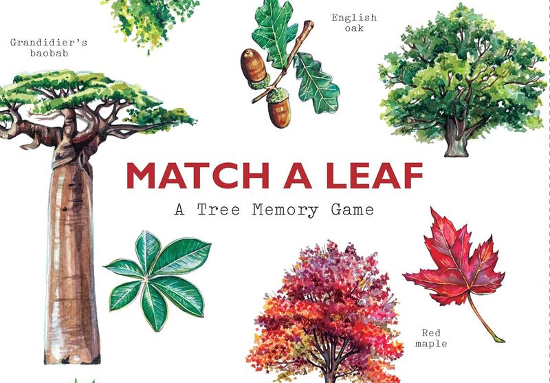 CB Match a Leaf