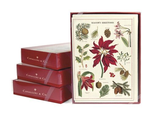 CAV Christmas Botanical Boxed Holiday Cards