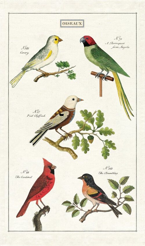 CAV Birds Tea Towel