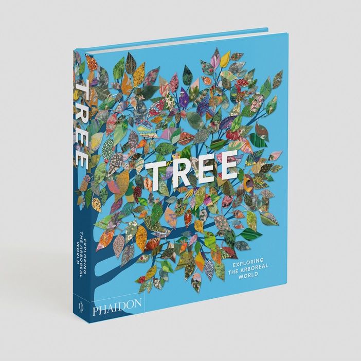 PPI Tree: Exploring the Arboreal World