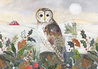 PP Country Owl Deluxe Boxed Cards