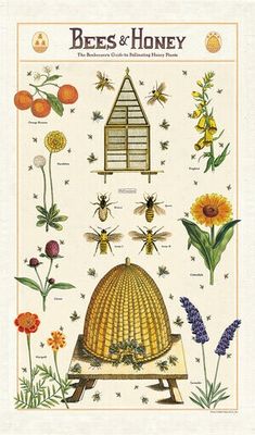 CAV Bee &amp; Honey Tea Towel