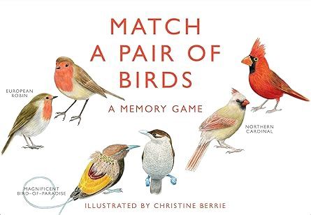 CB Match a Pair of Birds Game