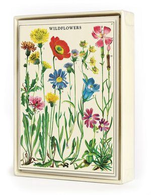 CAV Wildflowers Boxed Notes