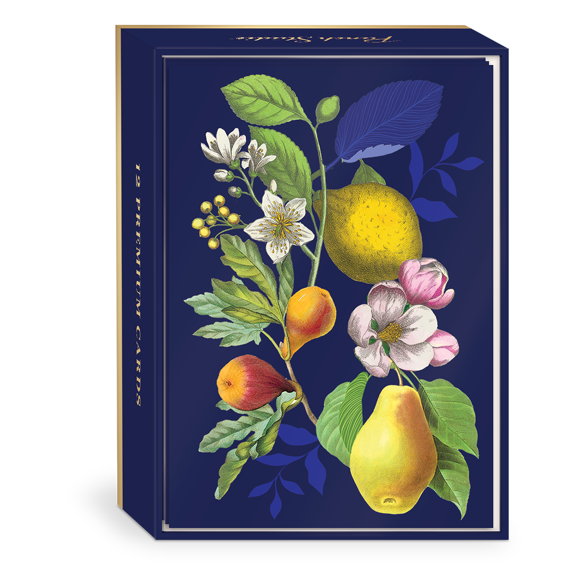 PS Vintage Floral Fruit Boxed Notecards