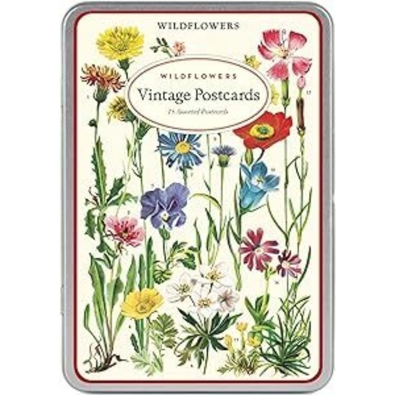 CAV Wildflowers 2 Vintage Postcard Set