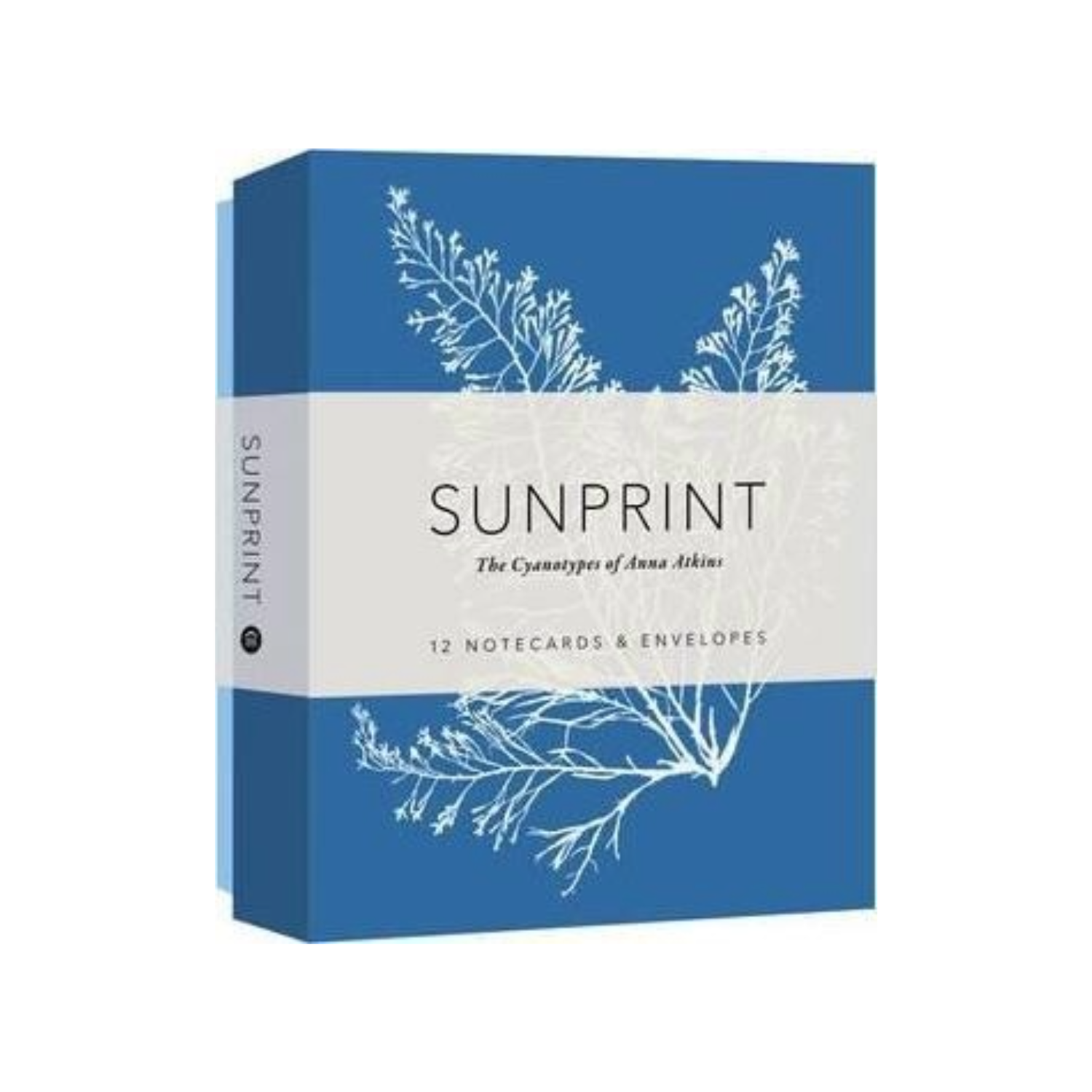 CB Sunprint Notecards