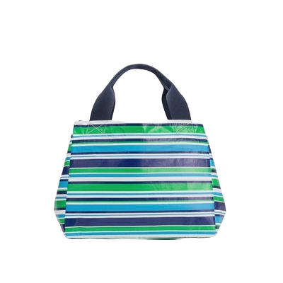 BB Blue Stripe Snap Tote