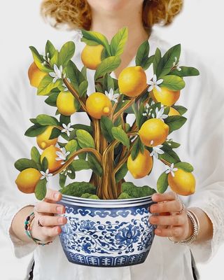 FP Lemon Blossom Tree Bouquet Greeting Card