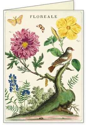 CAV Floreale Boxed Notecards