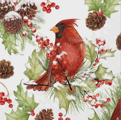 BI Cardinals in Holly Cocktail Napkin