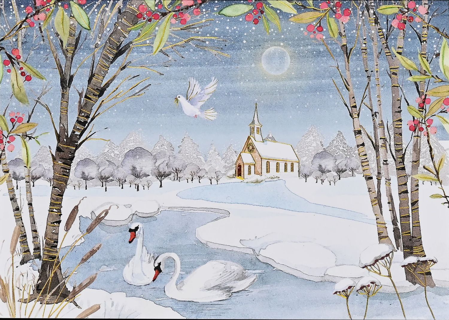 PP Wonders of Winter Deluxe Boxed Holiday Cards