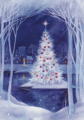 PP Christmas Island Small Boxed Holiday Cards