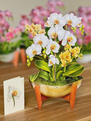 FP Serenity Orchid Bouquet Greeting Card