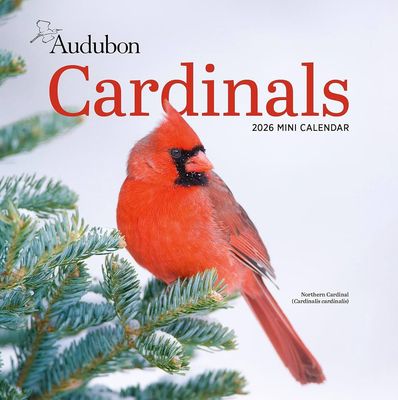 WMP Audubon Cardinals Mini Wall Calendar 2026