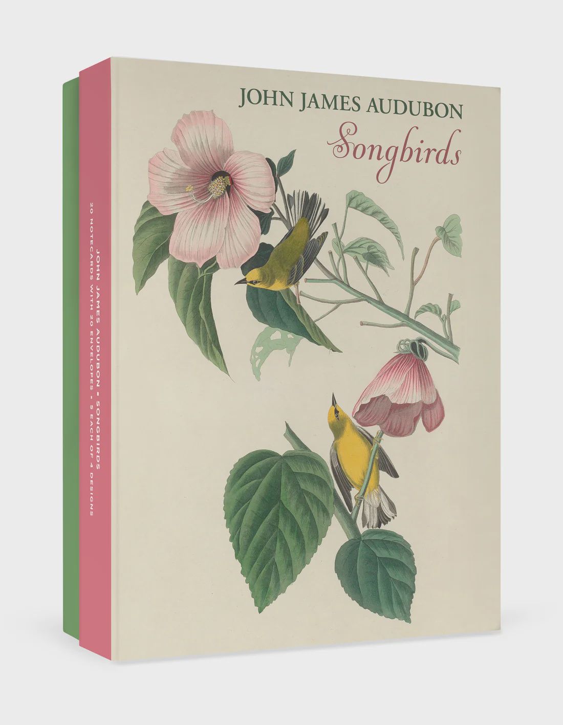 PO John James Audubon: Songbirds Boxed Notecards