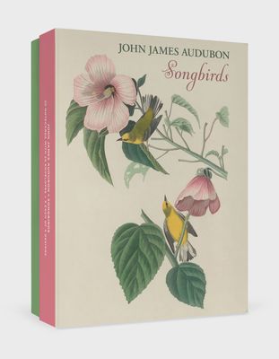 PO John James Audubon: Songbirds Boxed Notecards