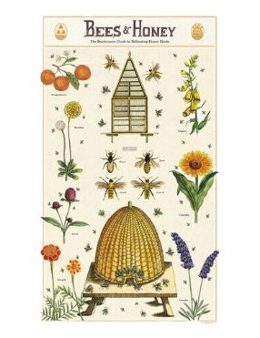 CAV Bee &amp; Honey Tea Towel